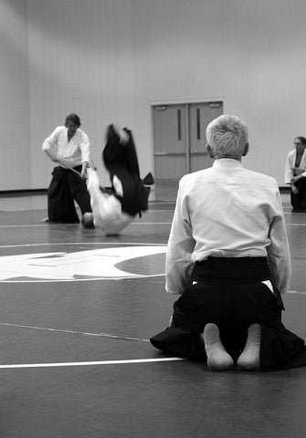 Aikido: tutto quello che c'è da sapere sull'aikido