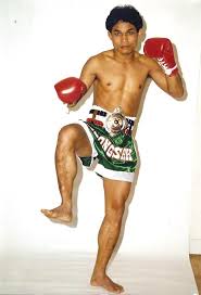 Top 13 des boxeurs thaï légendaires – Tigre Thai
