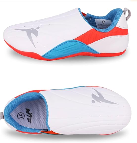 CHAUSSURES TAEKWONDO TRICOLORE