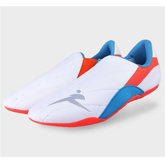 CHAUSSURES TAEKWONDO TRICOLORE