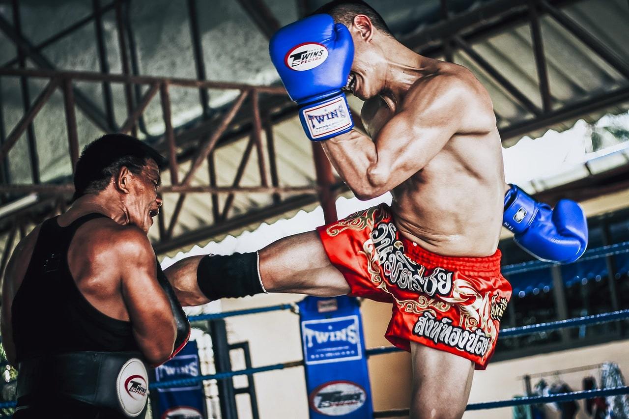 Acheter SUOTF MMA noir boxe crâne sport gants en cuir tigre Muay Thai  coussinets de boxe boîte de combat mma boîte