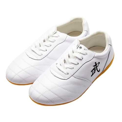 CHAUSSURES KUNG FU BLANCHES