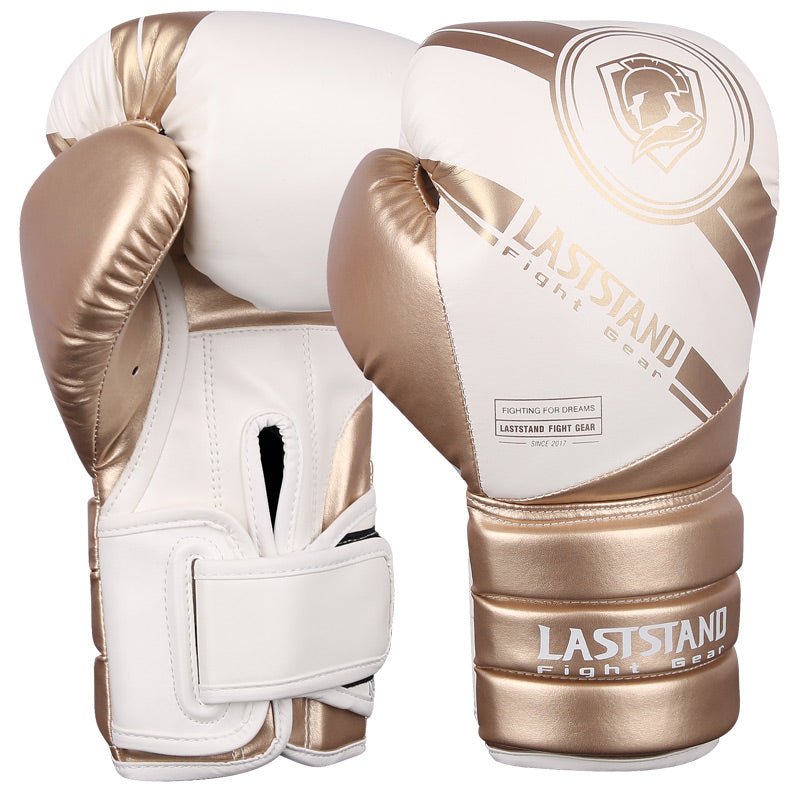 GANTS DE BOXE LASTSTAND SILVER